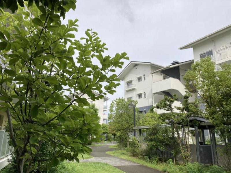コンフォールかぶと台