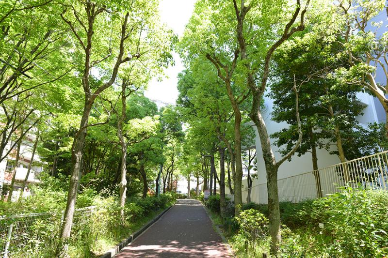 北緑丘団地