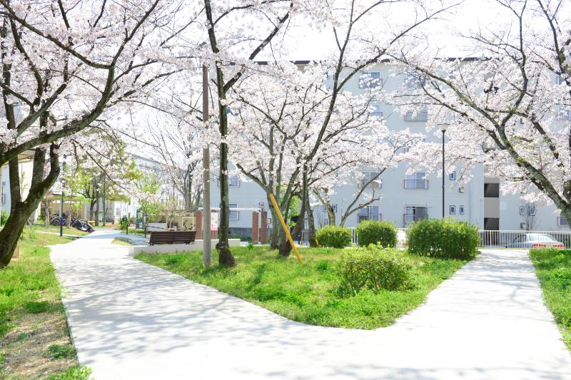 金剛団地