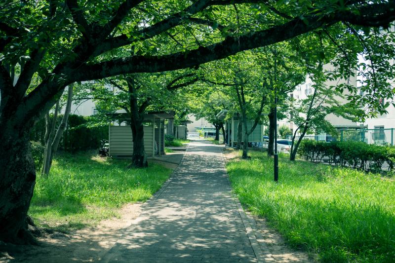 金剛団地