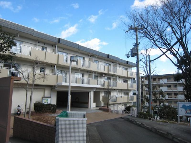 Minoh Ao No. 7