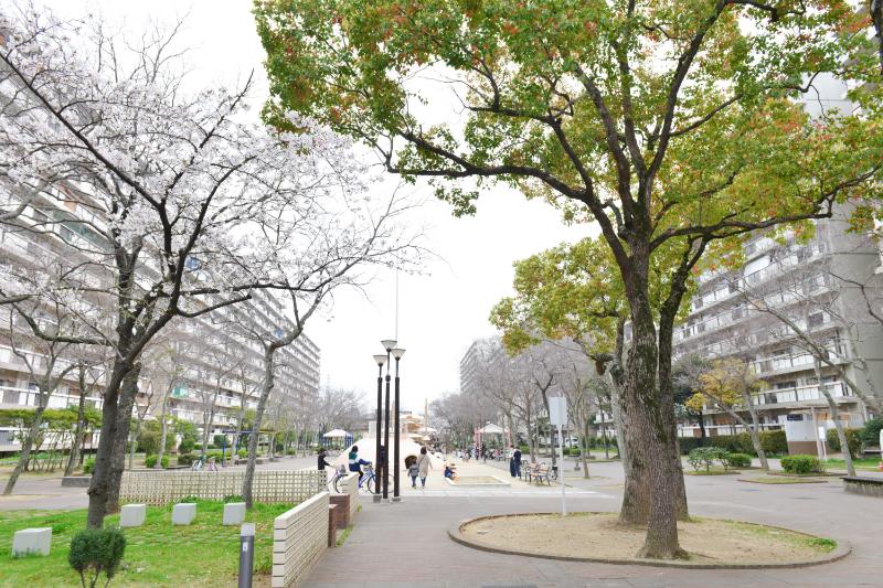 中百舌鳥公園