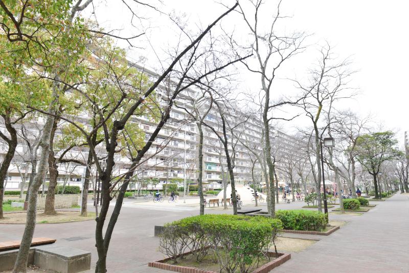 中百舌鳥公園