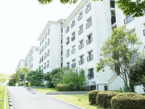 中登美第３団地