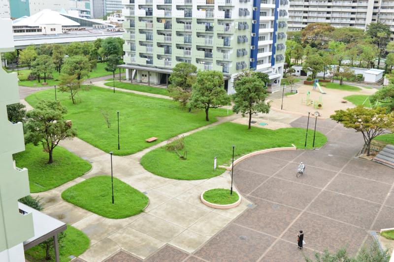南港わかぎの
