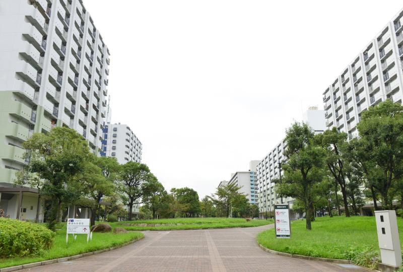 南港わかぎの