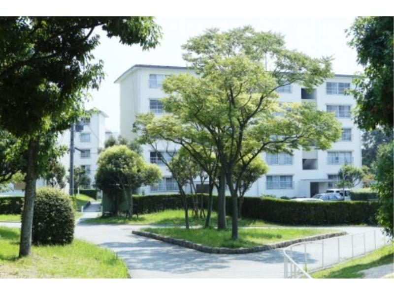 新多聞