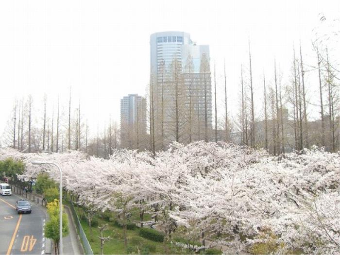 桜宮リバーシティ中央
