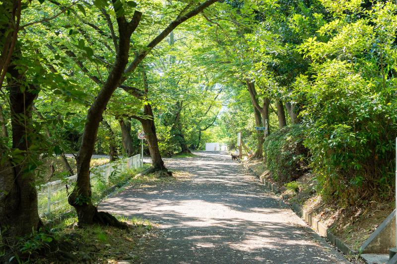 泉北竹城台2丁