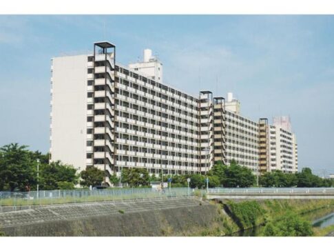 津久野南