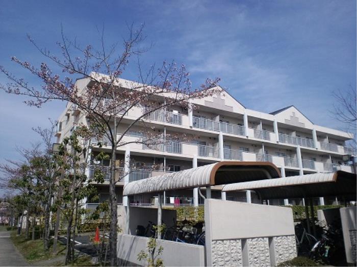 梅美台