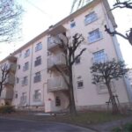 山本団地