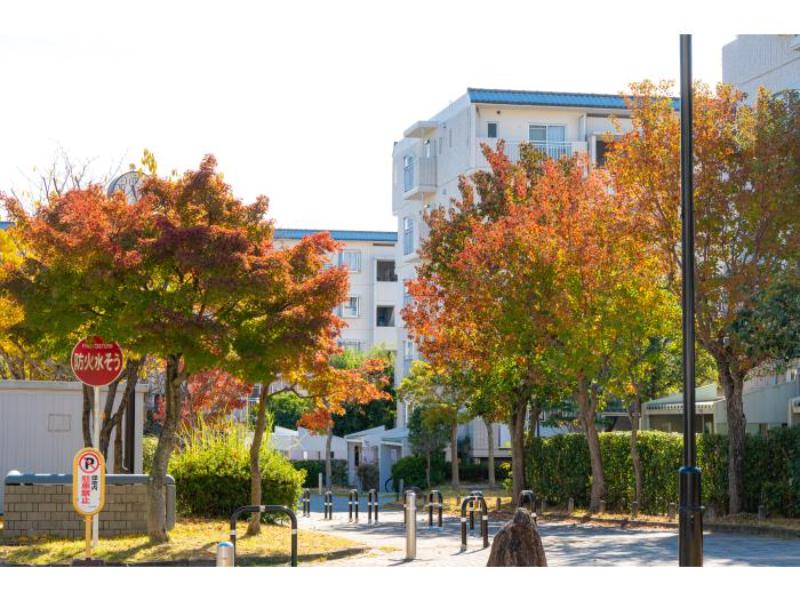 平城左京