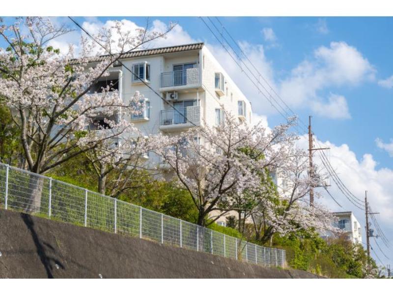 平城左京