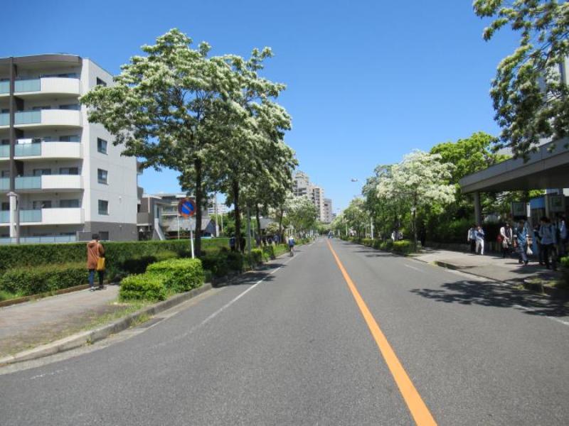 アーバンドエル白鳥公園