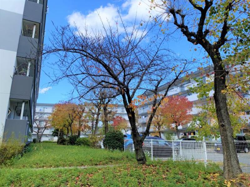 加島団地