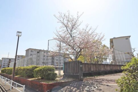長住団地