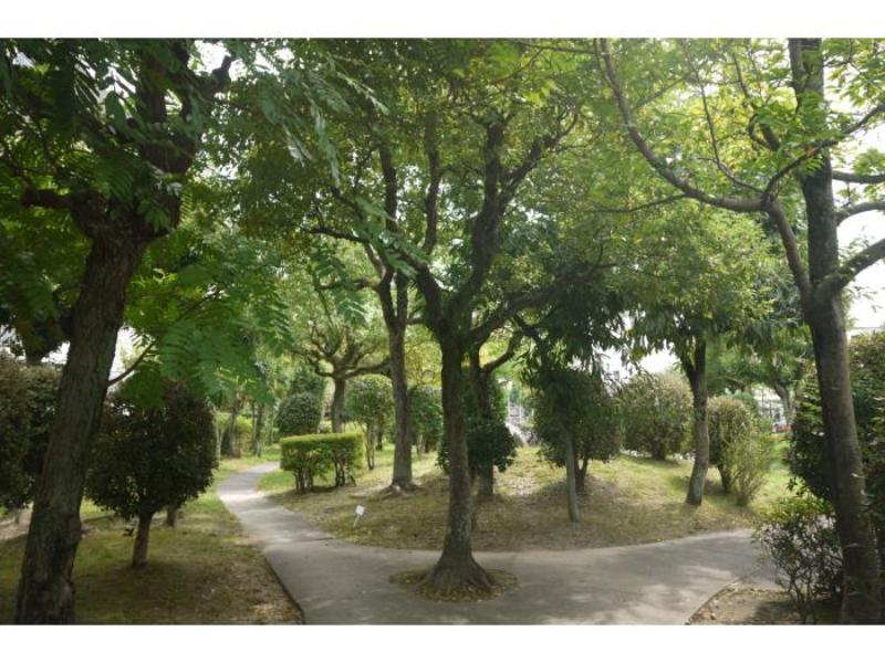 春日公園団地