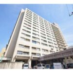中広町