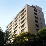 コラム南青山