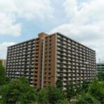 光が丘パークタウン いちょう通り八番街