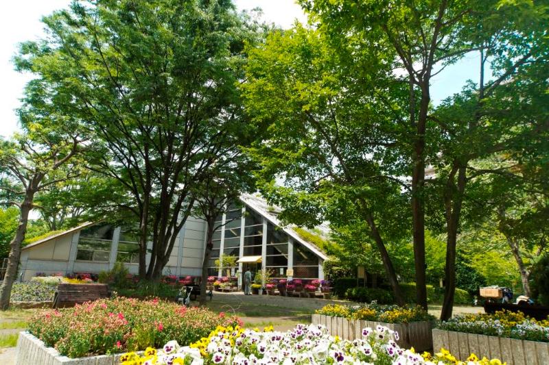 光が丘パークタウン いちょう通り八番街 