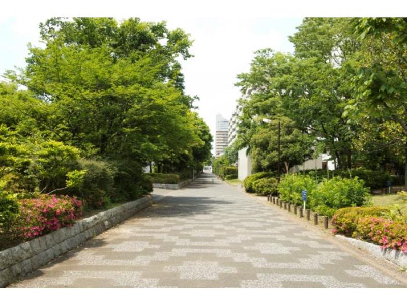 光が丘パークタウン いちょう通り八番街 