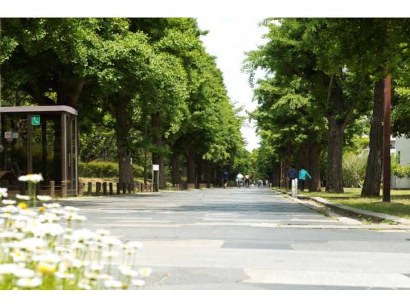 光が丘パークタウン いちょう通り八番街 