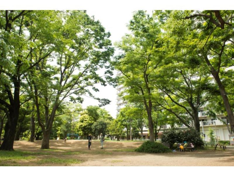 光が丘パークタウン いちょう通り八番街 