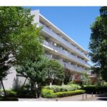 光が丘パークタウン ゆりの木通り33番街