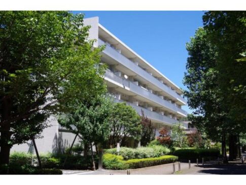 光が丘パークタウン ゆりの木通り33番街