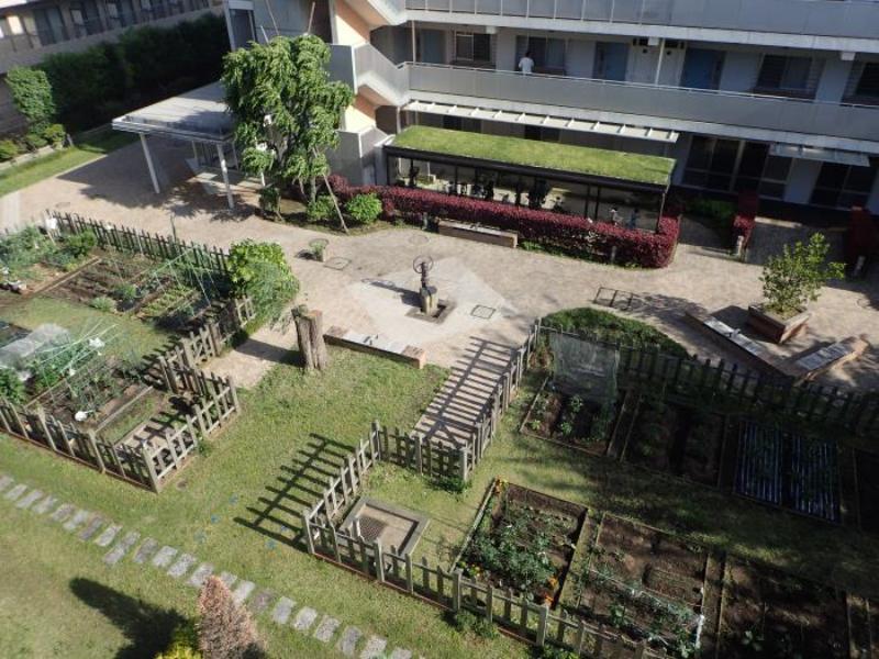 光が丘パークタウン
ゆりの木通り33番街