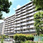 光が丘パークタウンゆりの木通り北