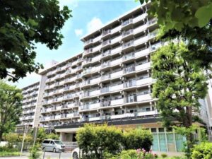 光が丘パークタウンゆりの木通り北