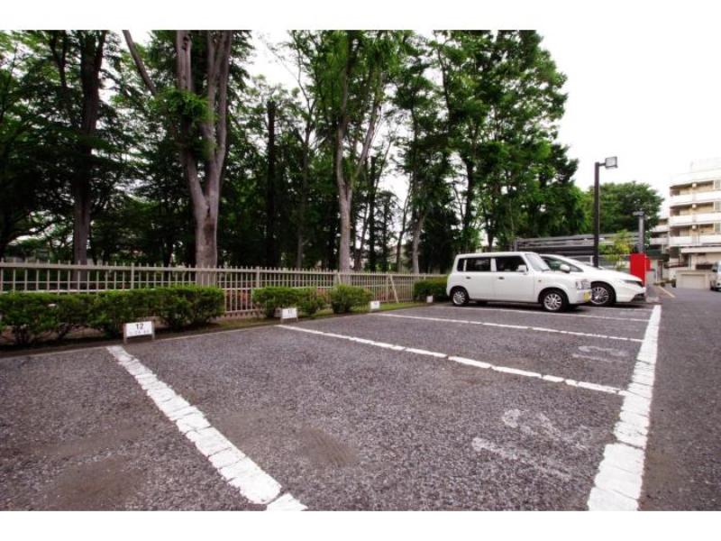 光が丘パークタウンゆりの木通り北