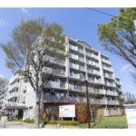 経堂赤堤通り