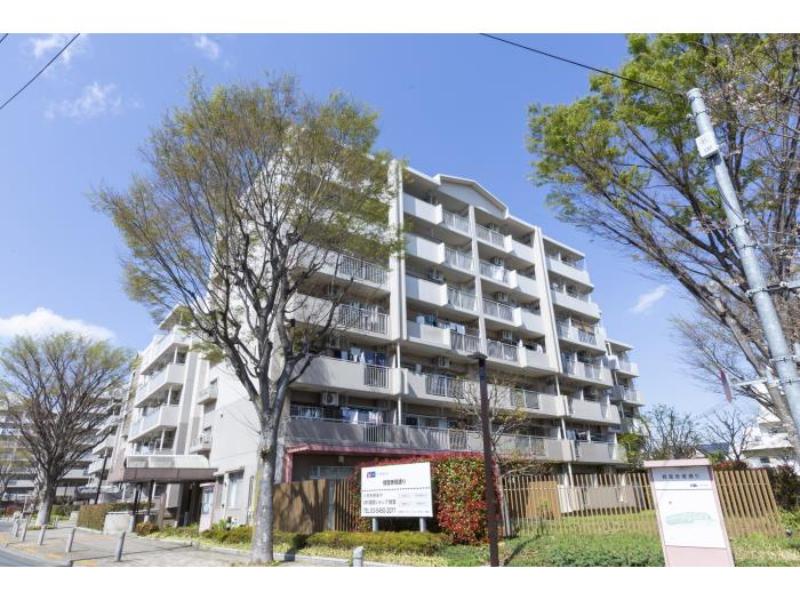 経堂赤堤通り